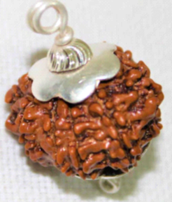 9 Mukhi Rudraksha: The Bead of Power & Fearlessness