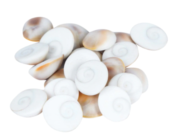 Gomati Chakra – A Sacred Symbol of Protection, Prosperity & Divine Blessings