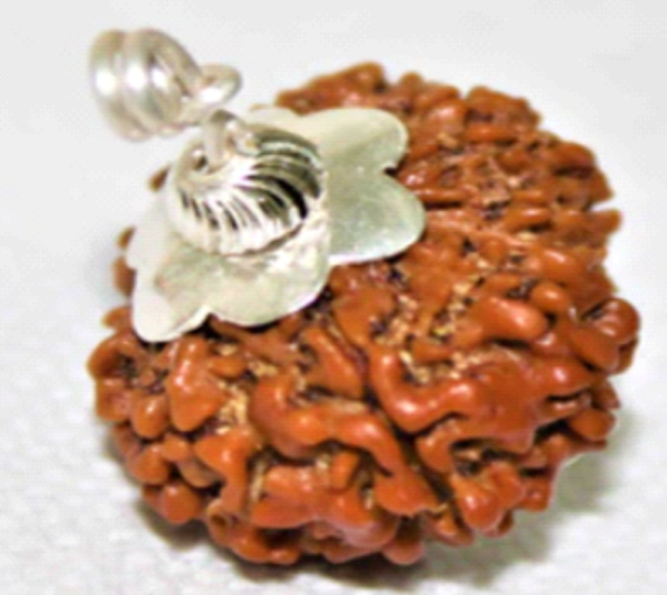 13 Mukhi Rudraksha: The Bead of Love, Prosperity & Creativity