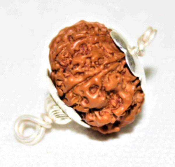 8 Mukhi Rudraksha: The Bead of Obstacles Removal & Success
