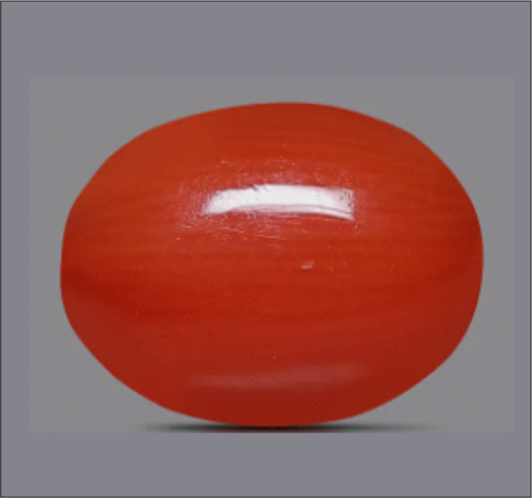 Red Coral (Moonga) – The Gemstone of Strength & Vitality