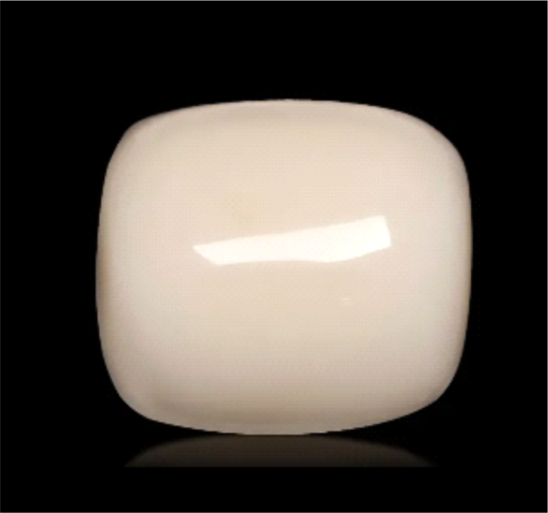 White Coral (Safed Moonga) – The Gemstone of Strength & Stability