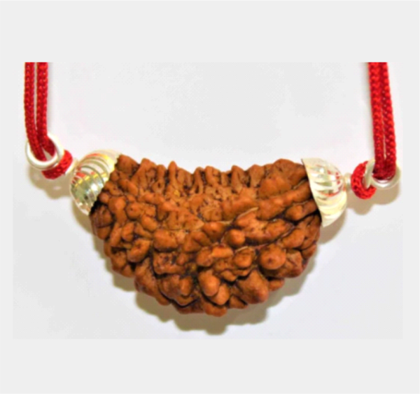 One Mukhi