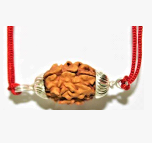 Two Mukhi Rudraksha: The Symbol of Unity & Harmony