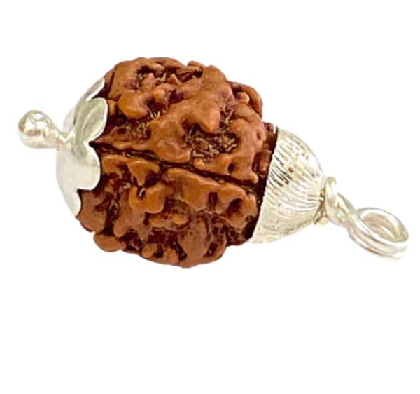 Three Mukhi Rudraksha: The Symbol of Purification & Power