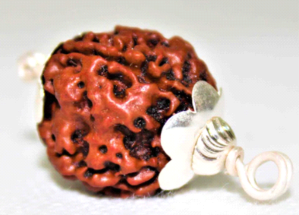 Four Mukhi Rudraksha: The Bead of Wisdom & Creativity