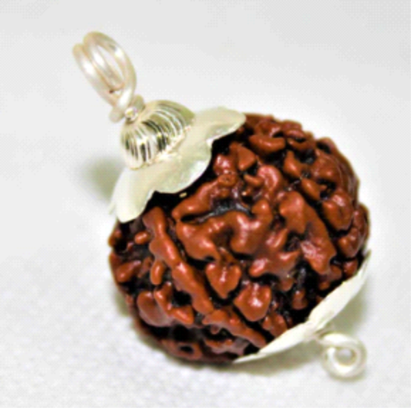 Five Mukhi Rudraksha: The Bead of Divine Protection & Wisdom